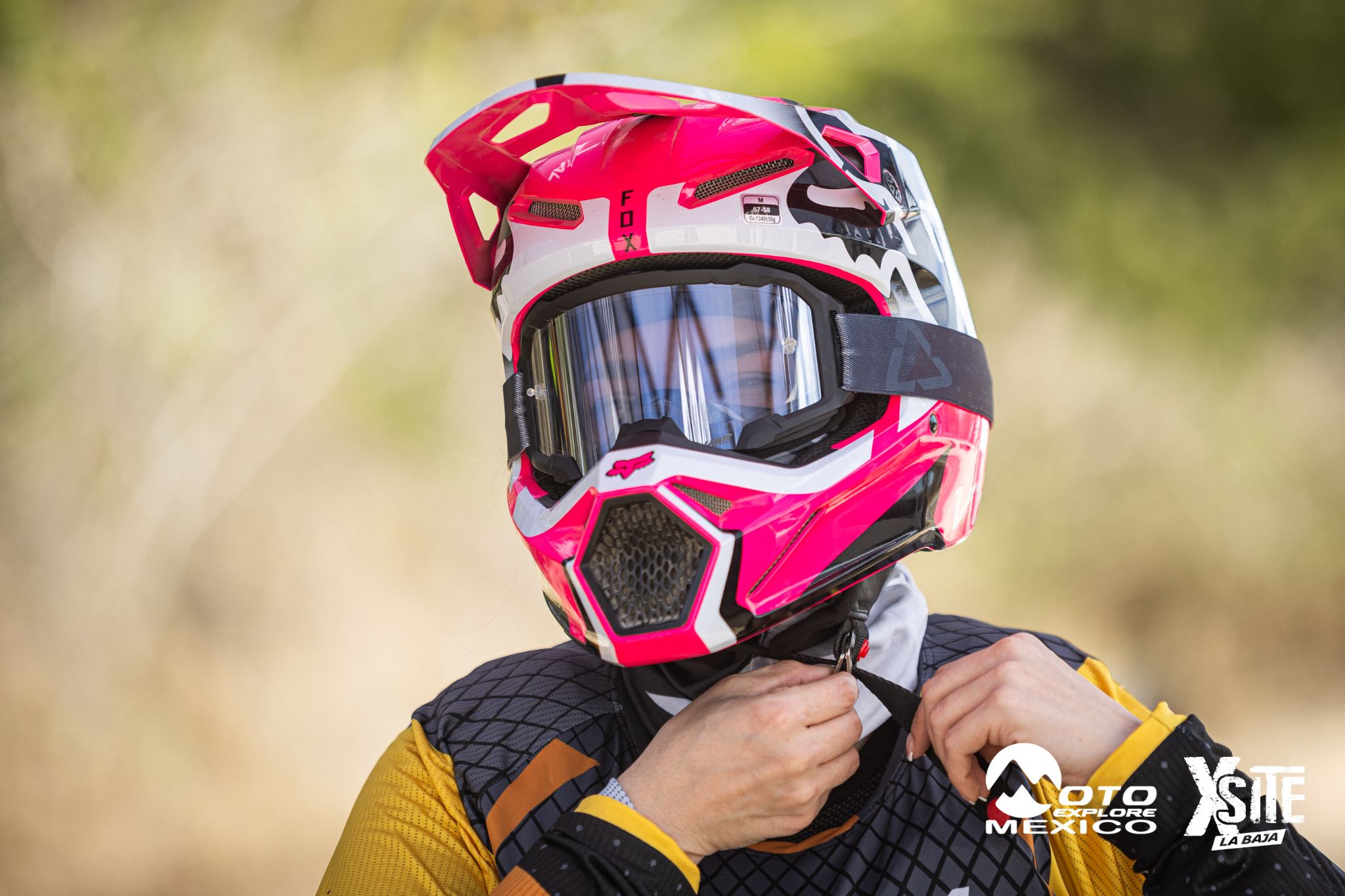 ITALIKA LA NAJA D2 154