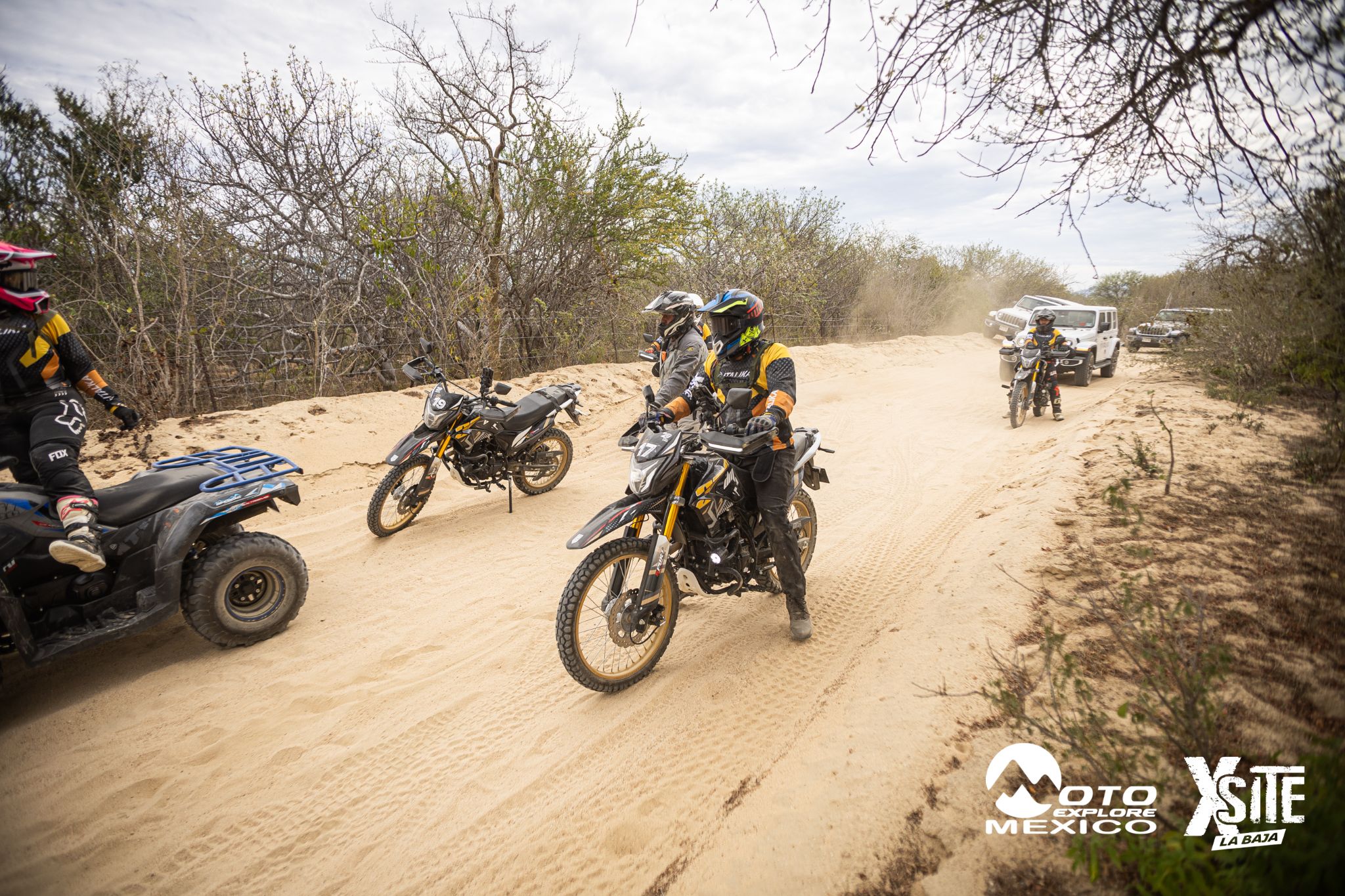 ITALIKA LA NAJA D2 211