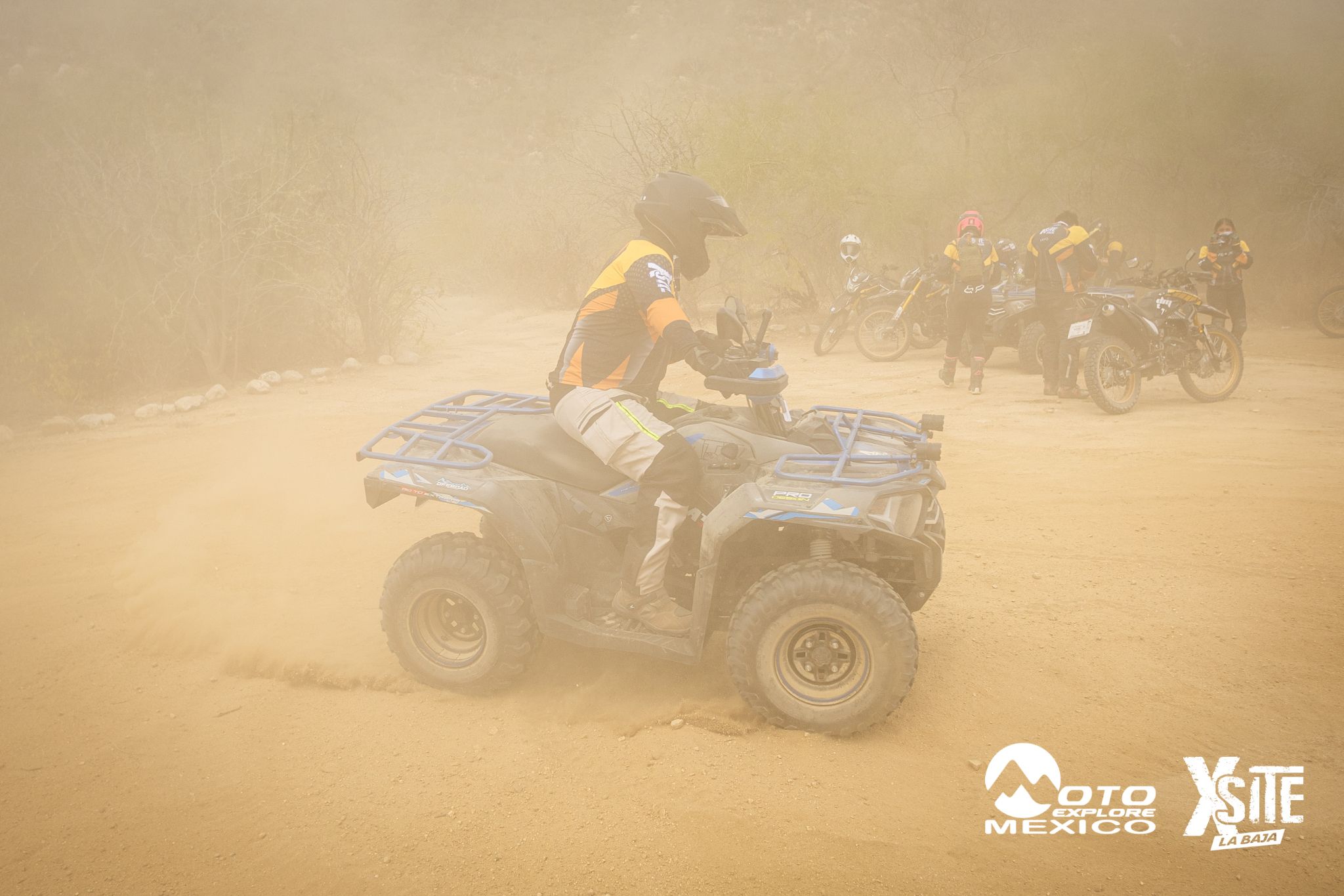 ITALIKA LA NAJA D2 224