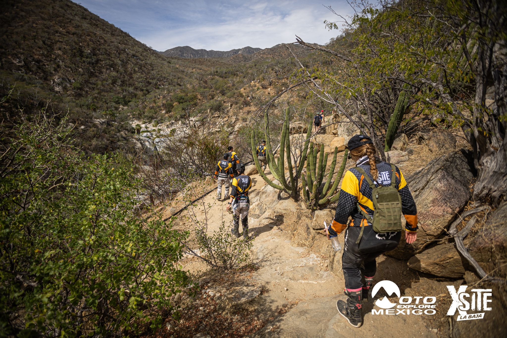 ITALIKA LA NAJA D2 241