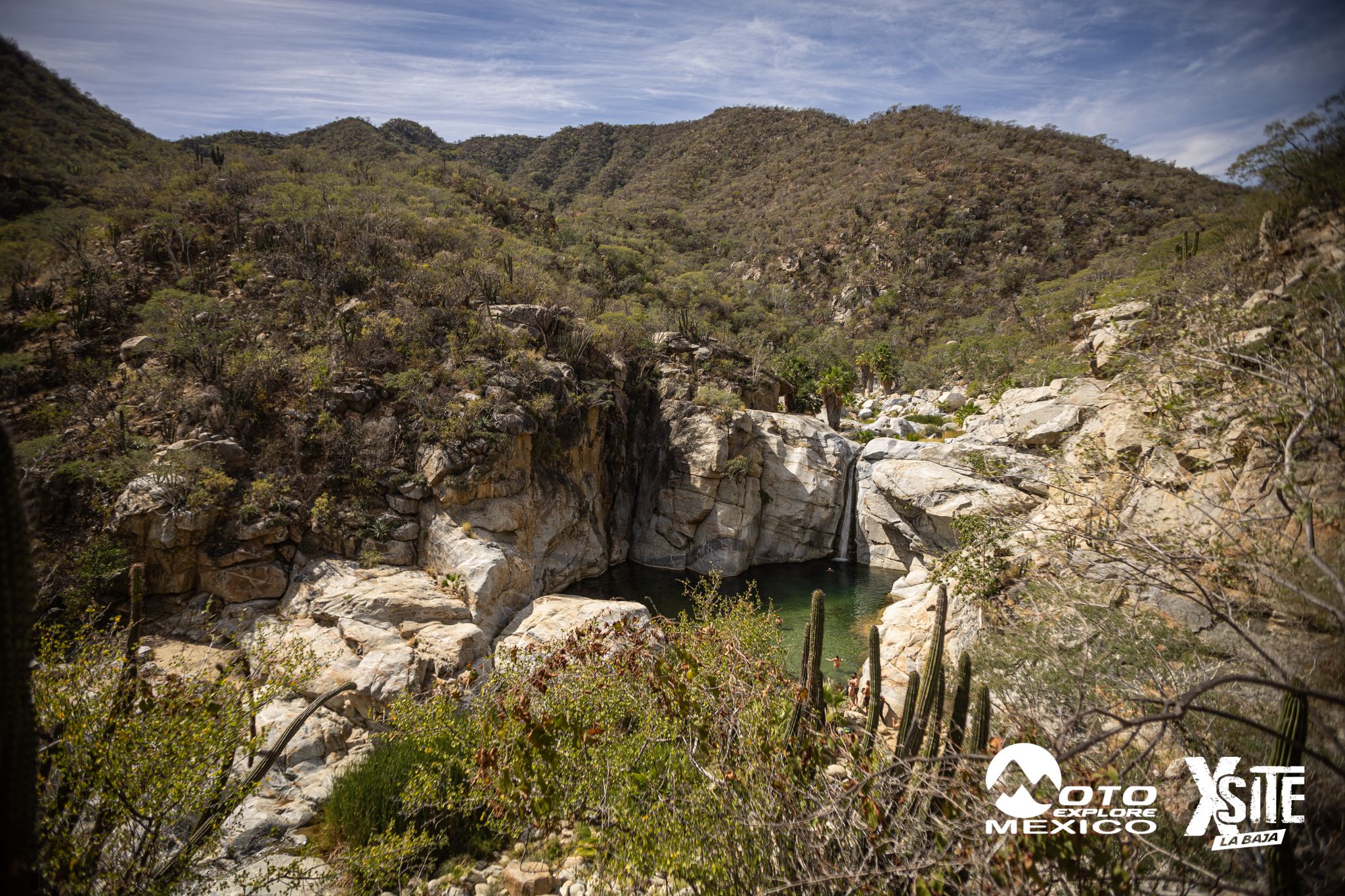 ITALIKA LA NAJA D2 256