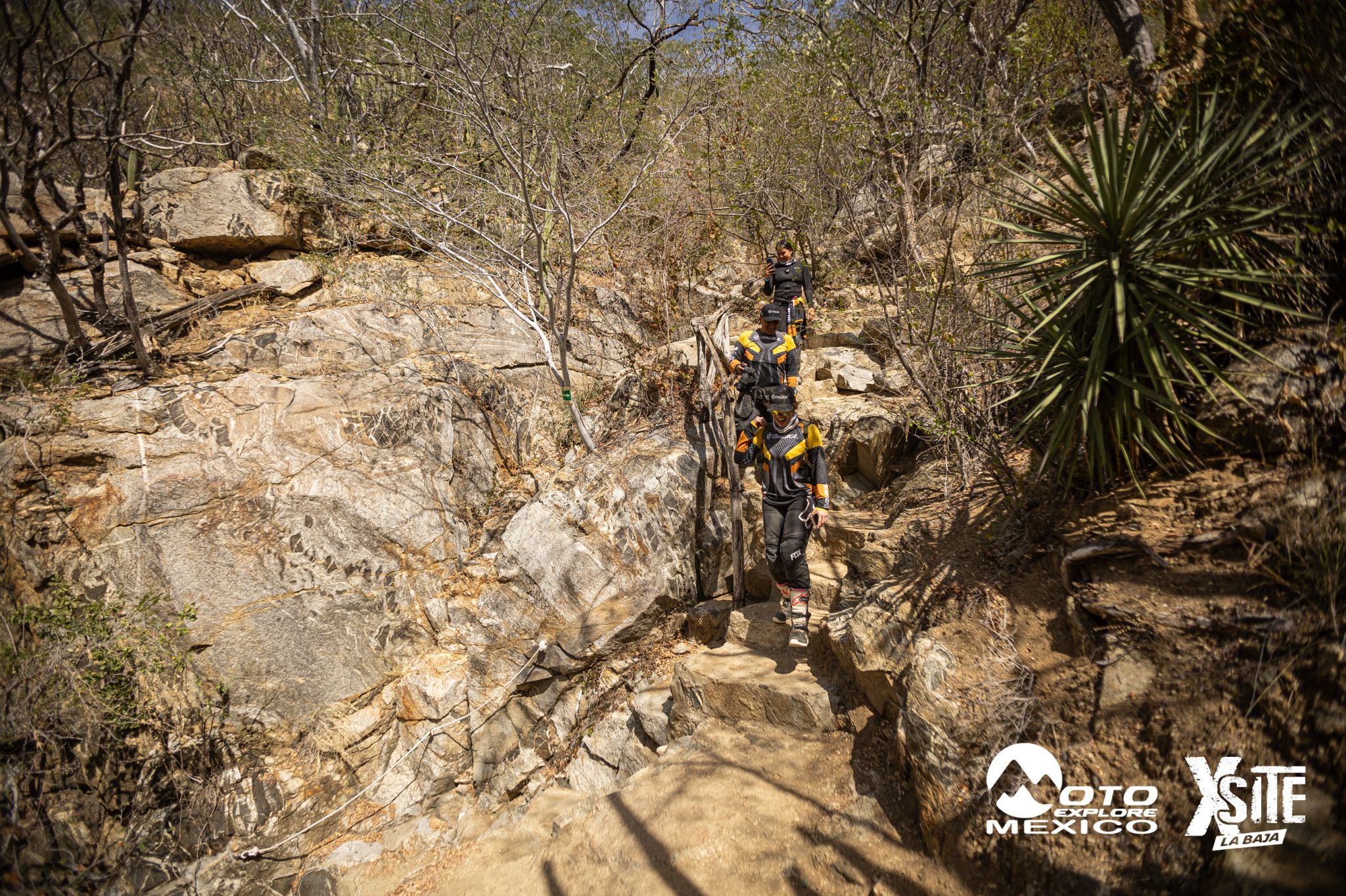 ITALIKA LA NAJA D2 258