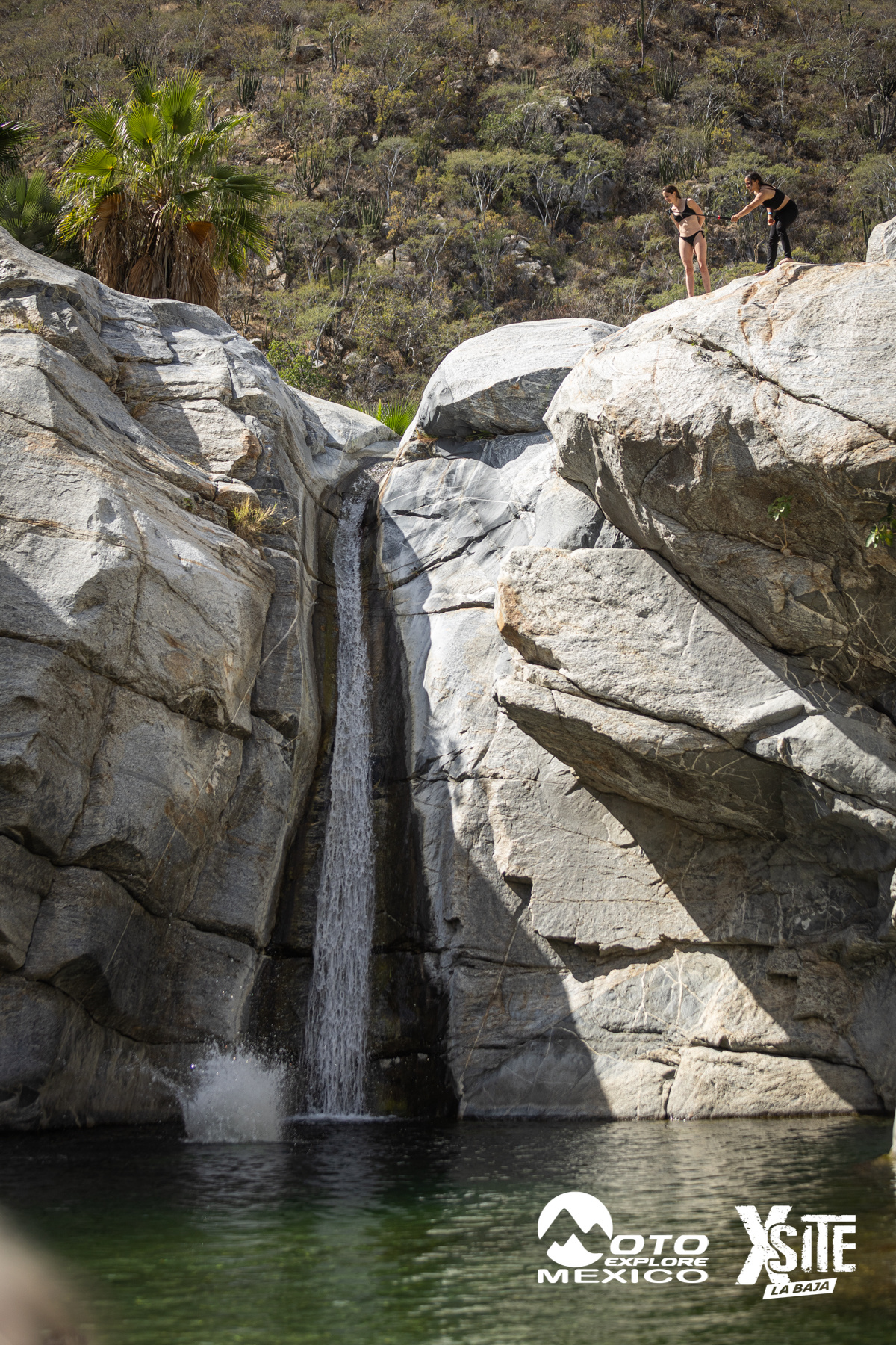 ITALIKA LA NAJA D2 290