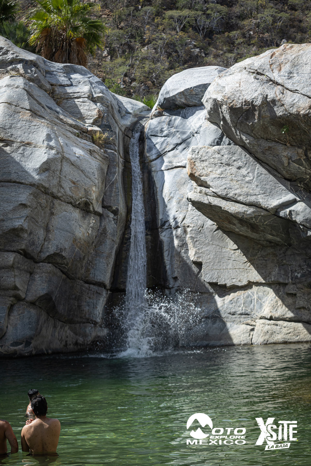 ITALIKA LA NAJA D2 310