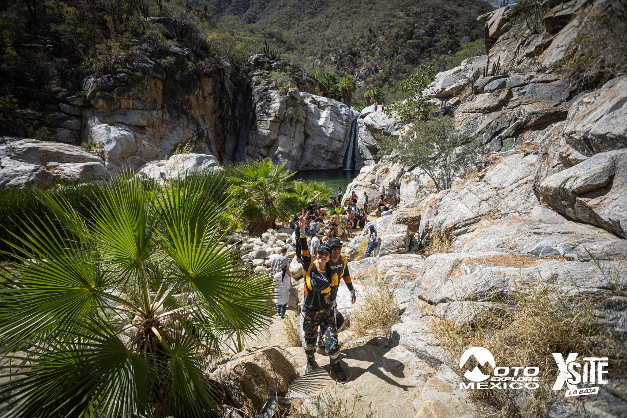 ITALIKA LA NAJA D2 354