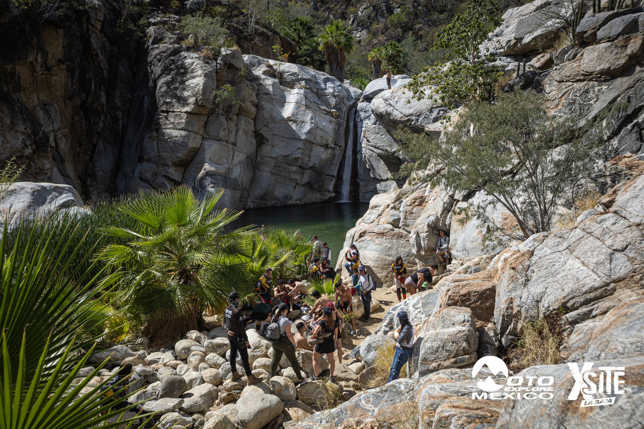 ITALIKA LA NAJA D2 355