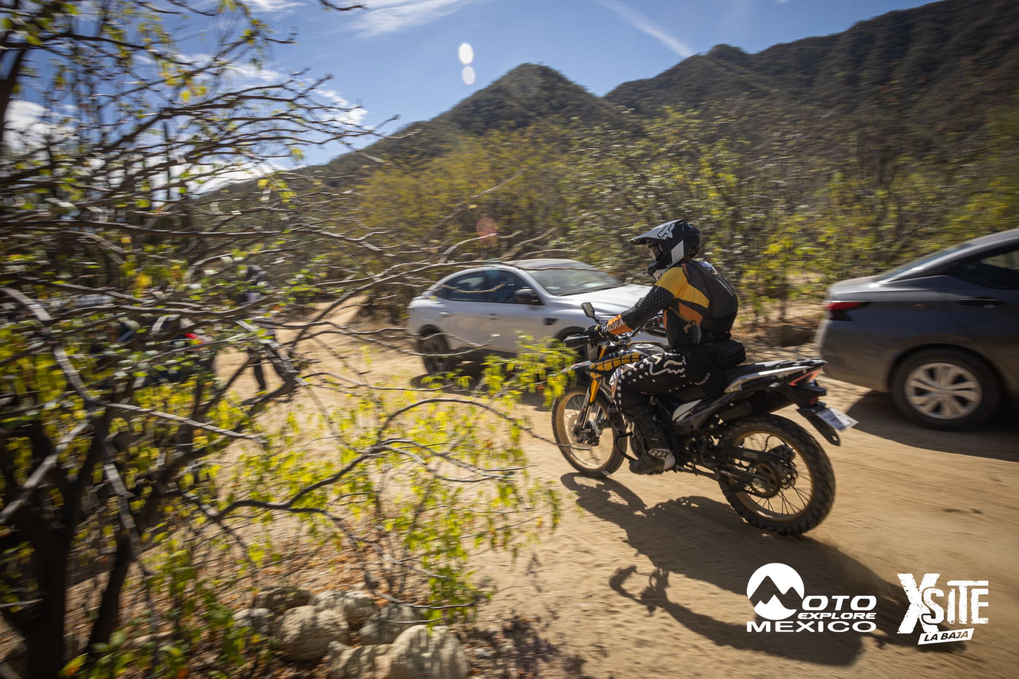 ITALIKA LA NAJA D2 383