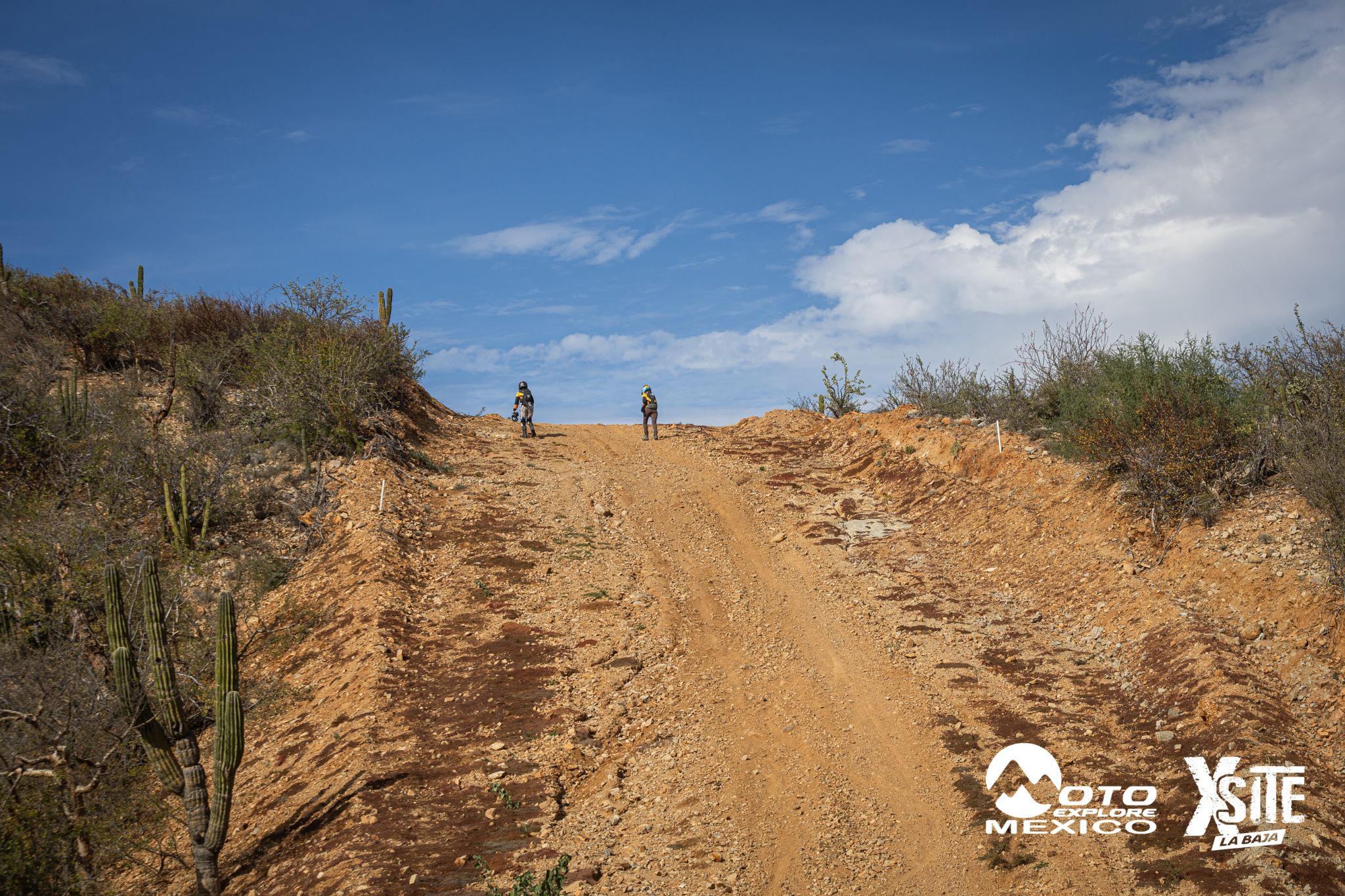 ITALIKA LA NAJA D2 478