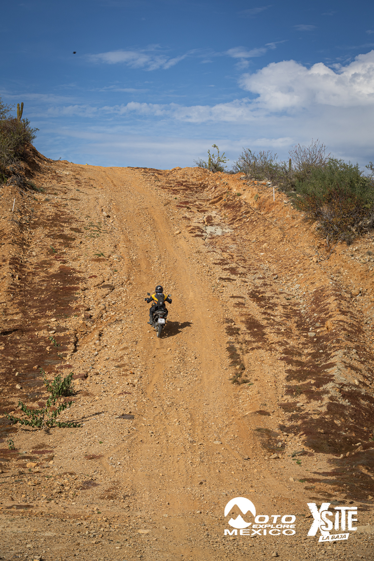 ITALIKA LA NAJA D2 480