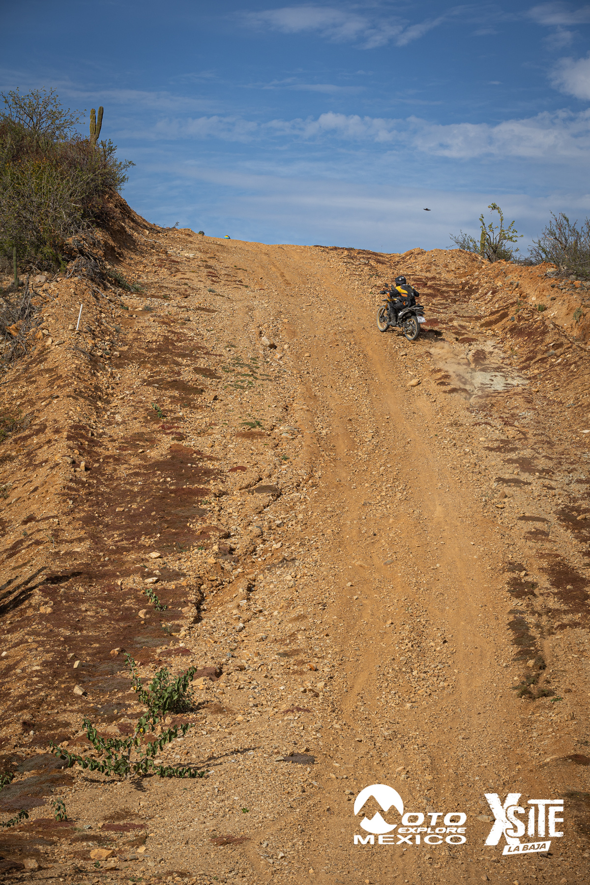 ITALIKA LA NAJA D2 484