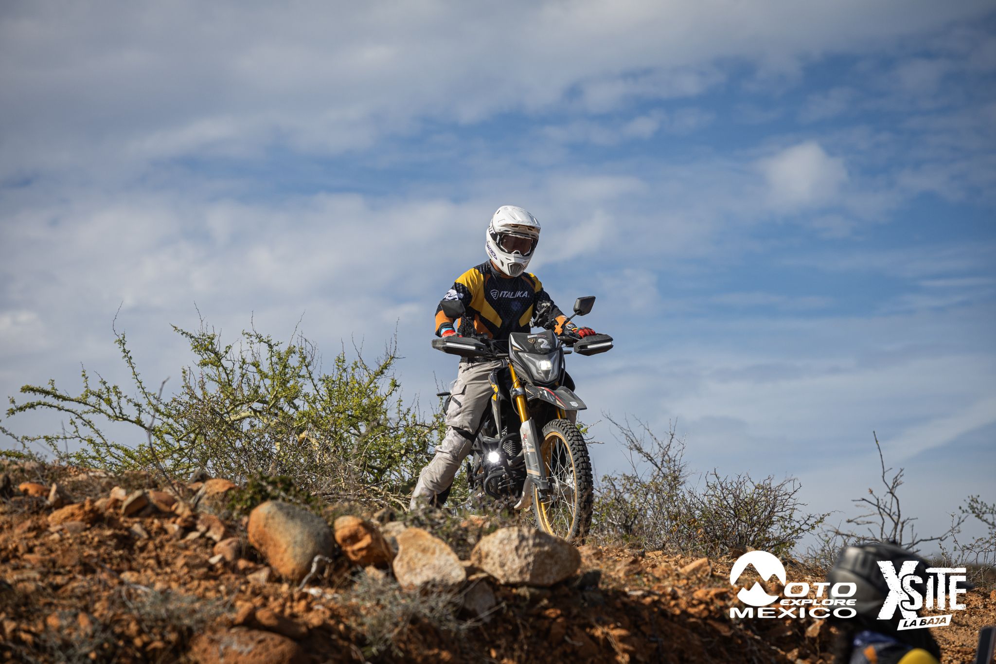 ITALIKA LA NAJA D2 487