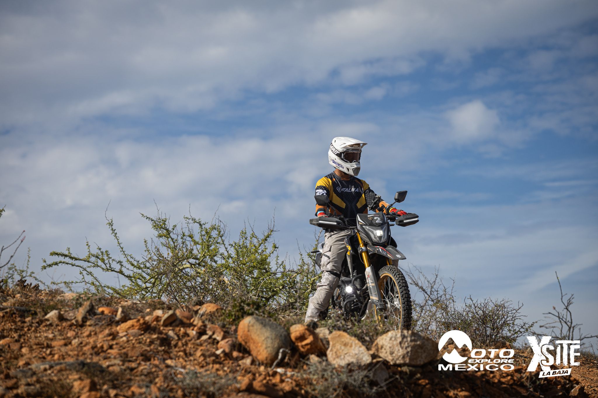 ITALIKA LA NAJA D2 488