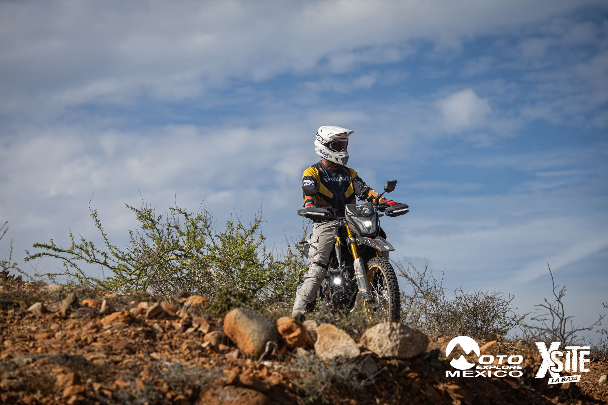 ITALIKA LA NAJA D2 489