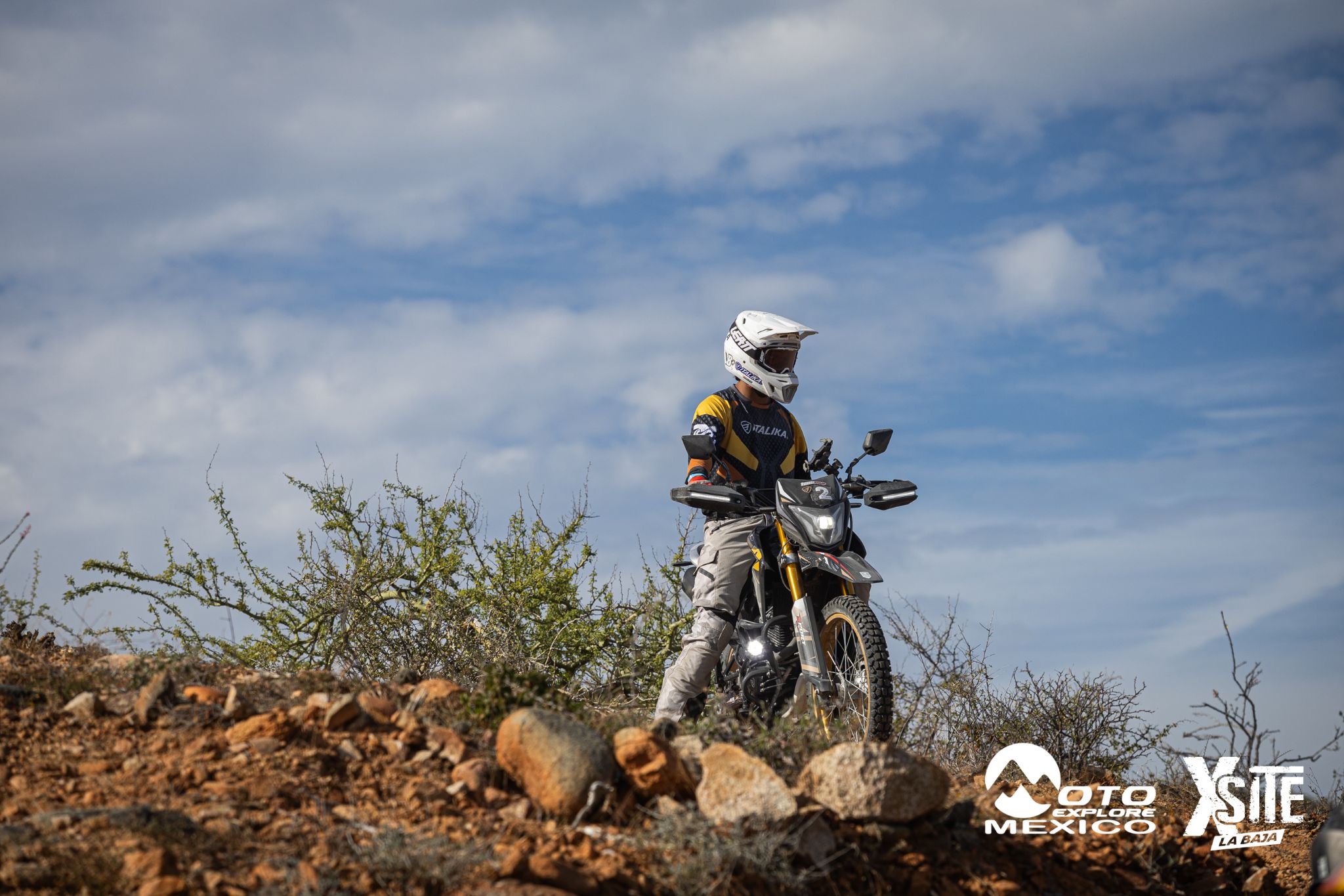 ITALIKA LA NAJA D2 490