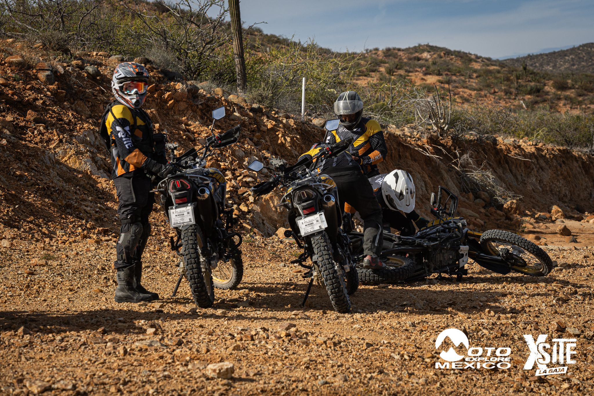 ITALIKA LA NAJA D2 491