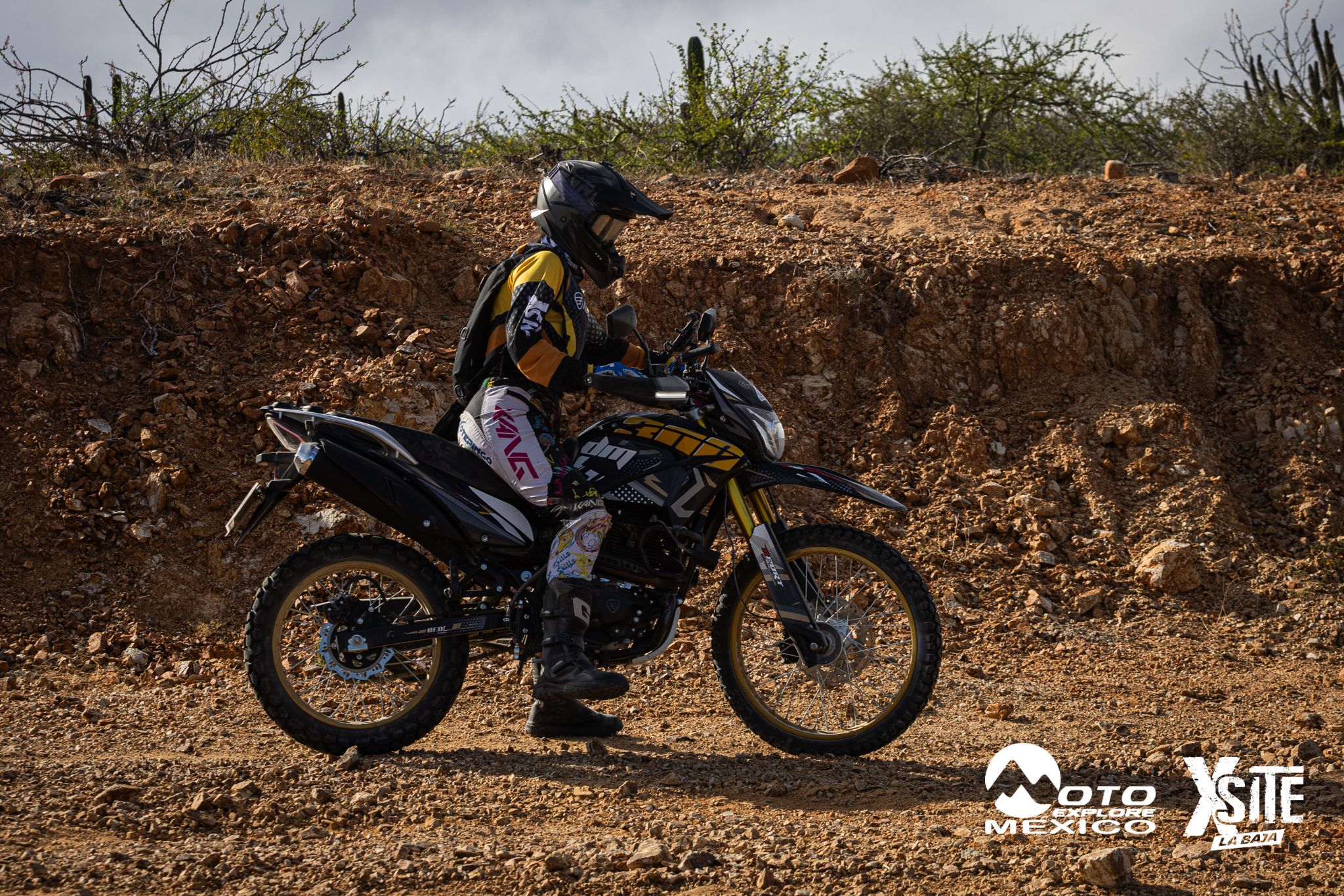 ITALIKA LA NAJA D2 514