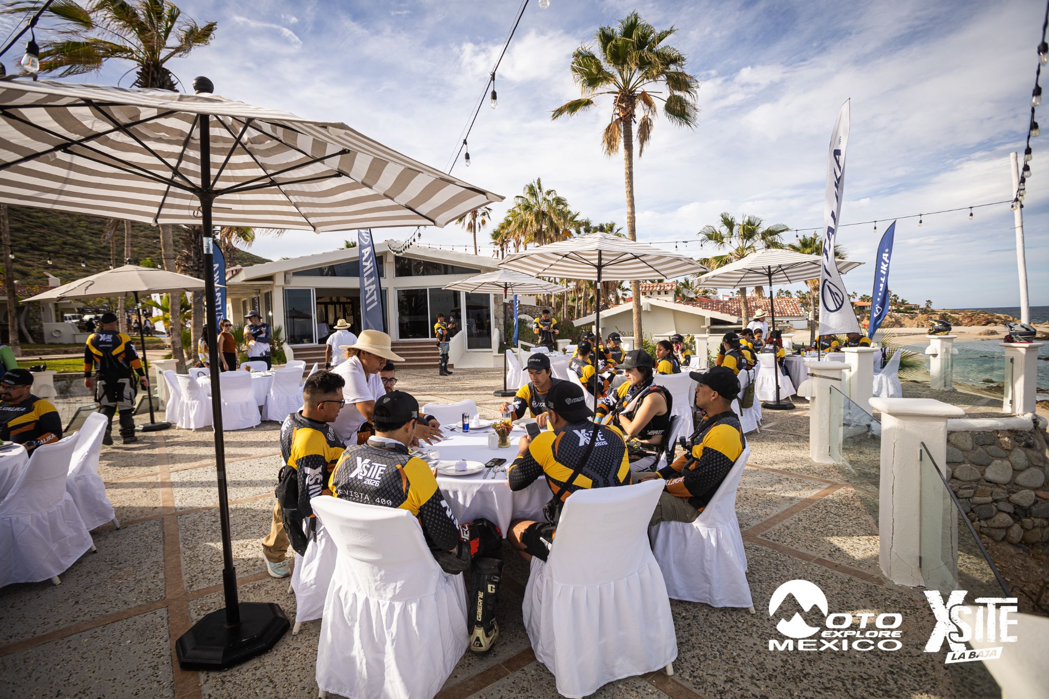 ITALIKA LA NAJA D2 559