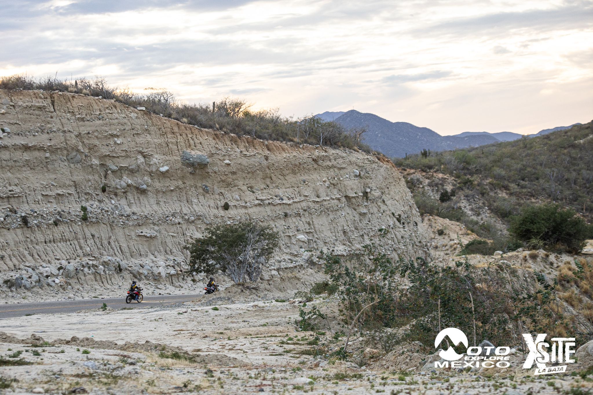 ITALIKA LA NAJA D2 617