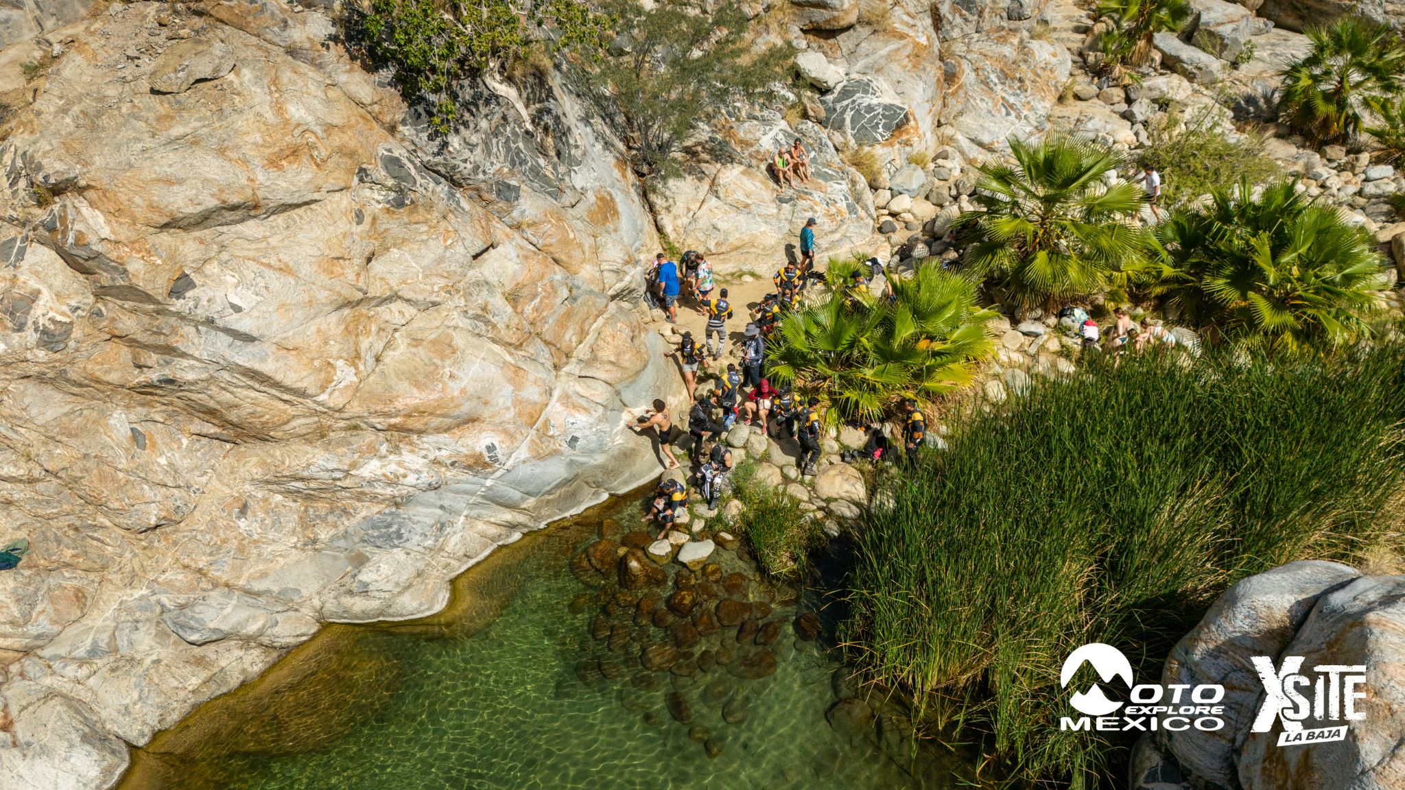 ITALIKA LA NAJA D2 736