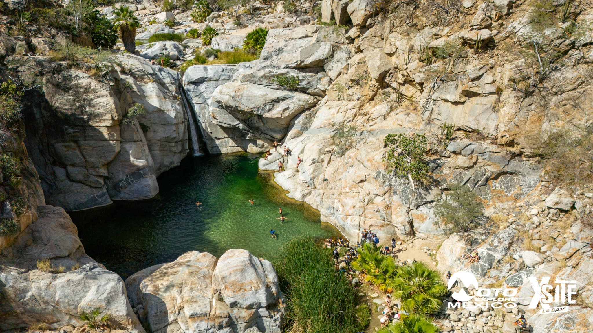 ITALIKA LA NAJA D2 743