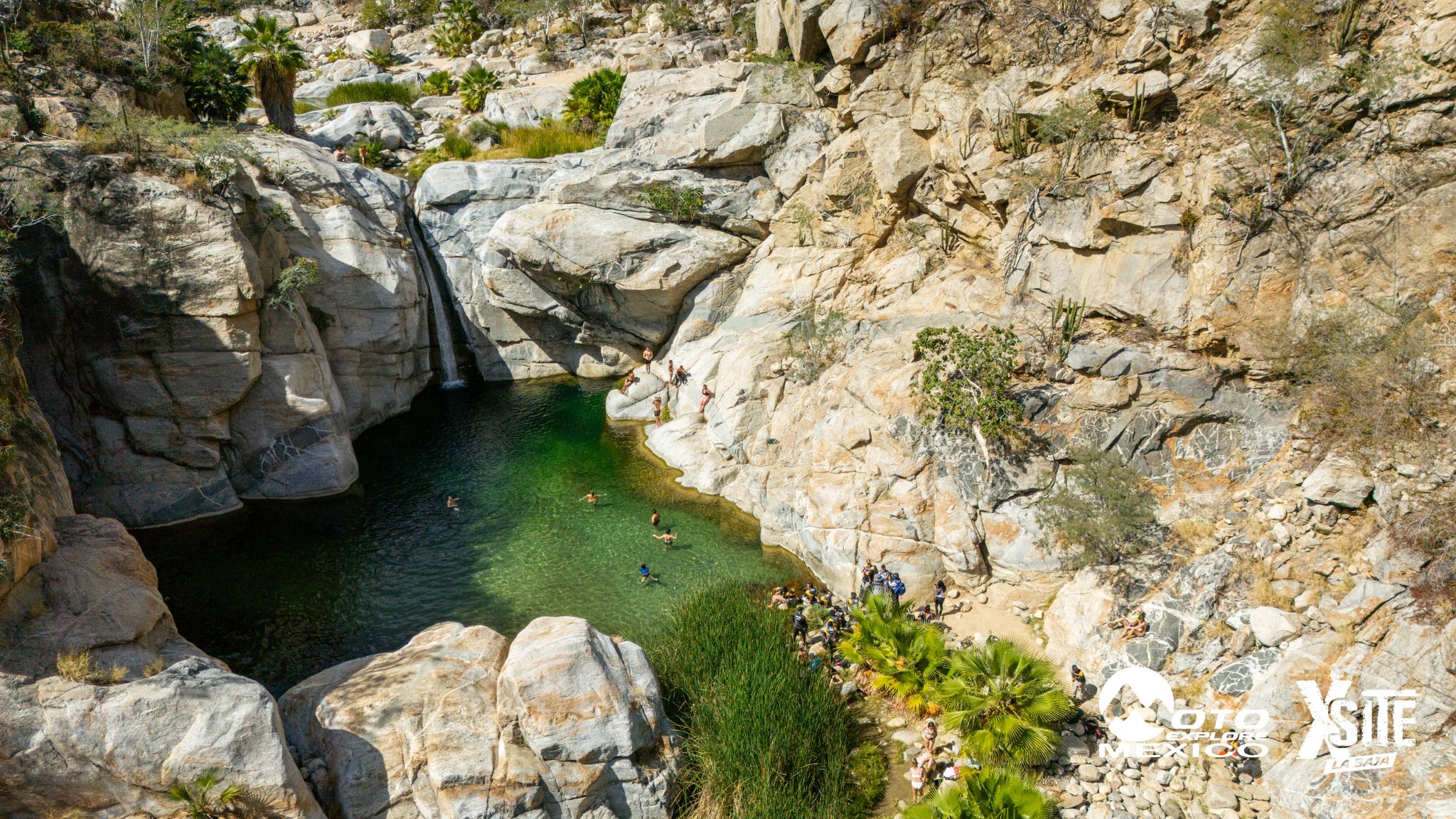 ITALIKA LA NAJA D2 744