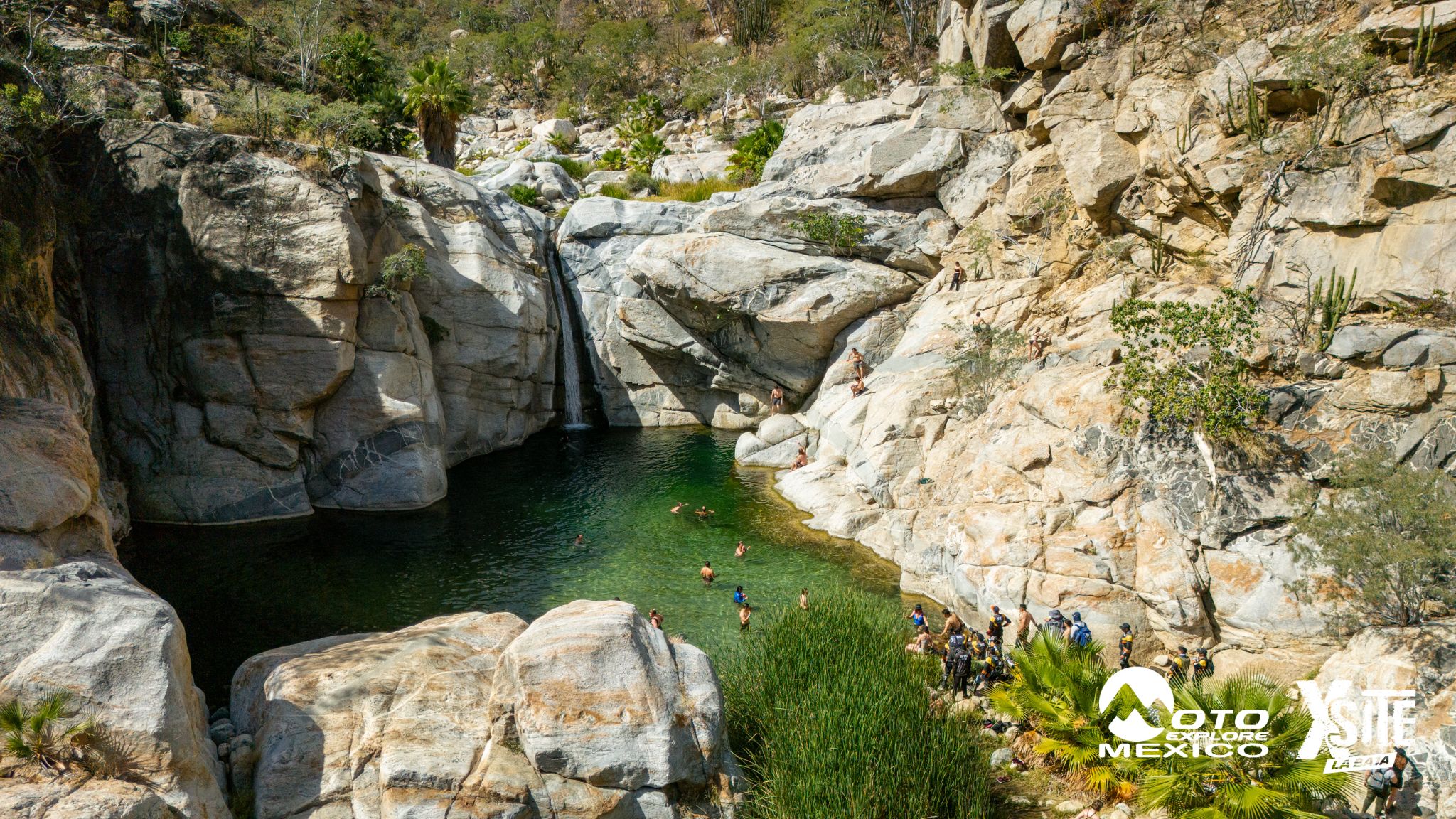 ITALIKA LA NAJA D2 745