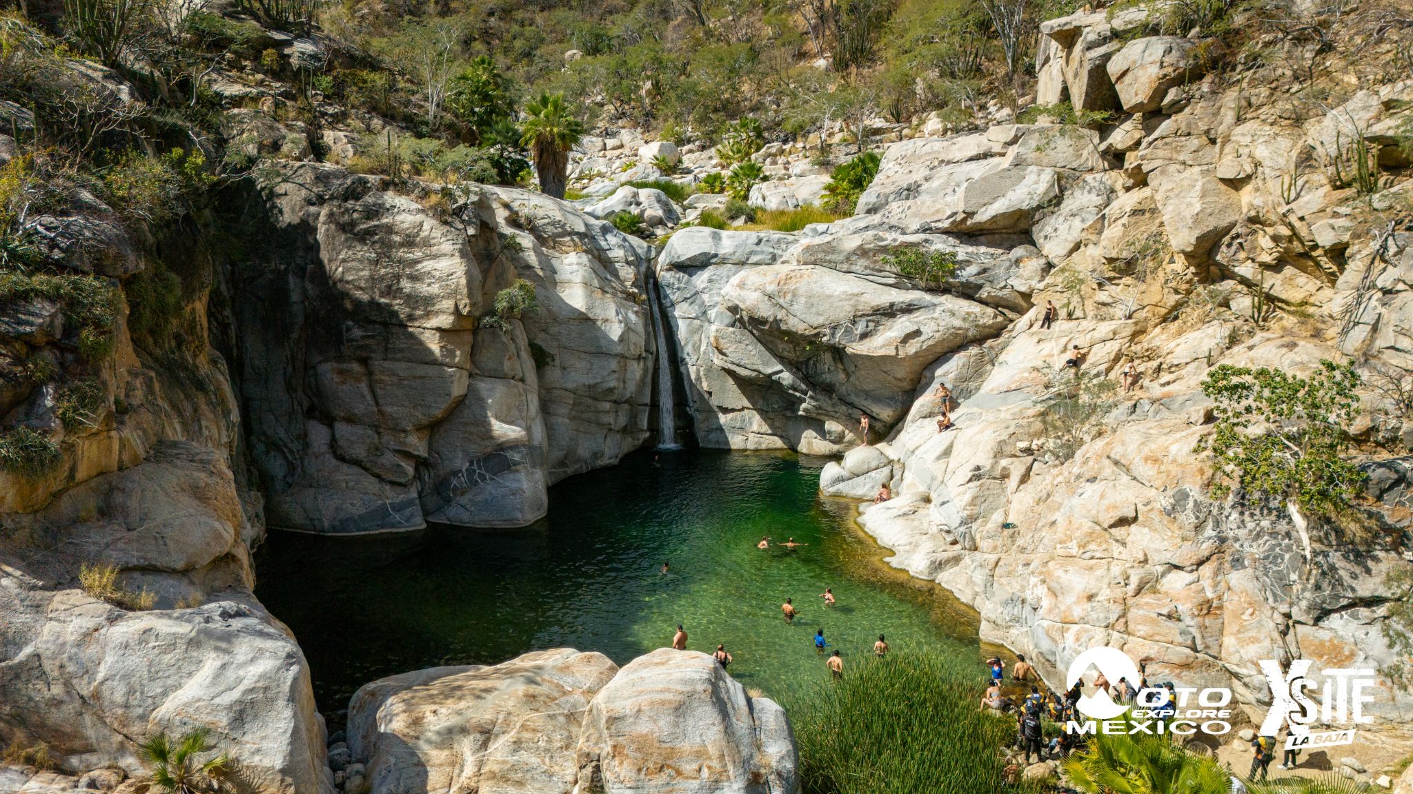 ITALIKA LA NAJA D2 746